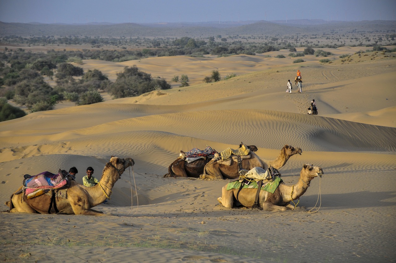 Pushkar Camel Fair - Rajasthan's Vibrant Cultural Extravaganza